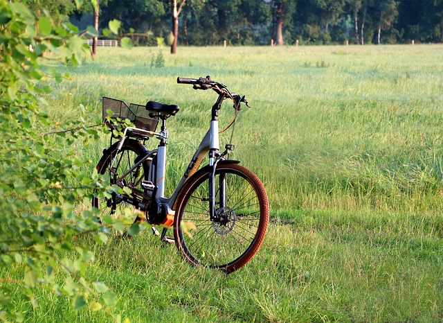 2023 velo electrique